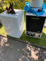 2 funktionstüchtige Kühlschränke ohne Eisfach zu verschenken Düsseldorf - Eller Vorschau