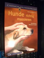 Hunde richtig massieren, B. Mühlbauer, Softcover, 80S. NEU !! Bonn - Gronau Vorschau