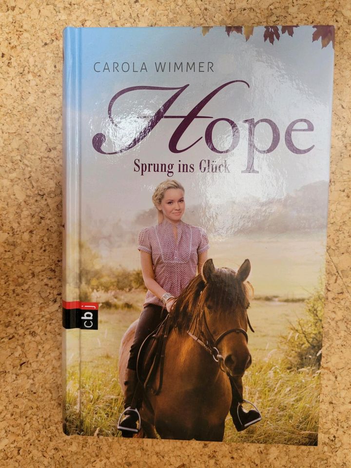 Hope - Sprung ins Glück (Jugendroman, Mädchenroman, Pferderoman) in Nordenholz