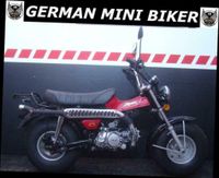 SKYTEAM T-REX 125 CLUB-INJECTION E5 METALLIC-ROT Bayern - Mindelheim Vorschau