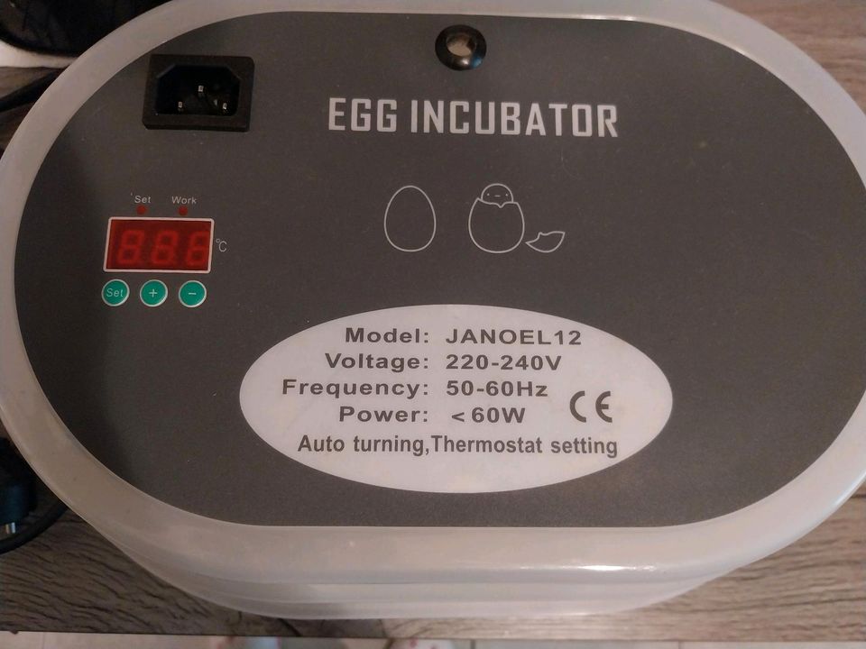 Egg Incubator Janoel 12 in Wesel