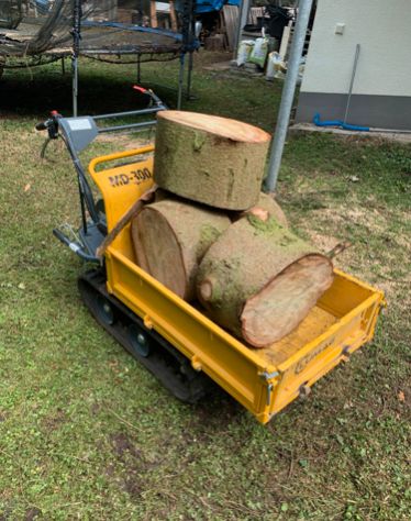 Minidumper, Raupendumper, Minilader, Baugeräte mieten, leihen in Höchstadt