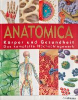 Anatomica Körper und Gesundheit Thüringen - Schalkau Vorschau