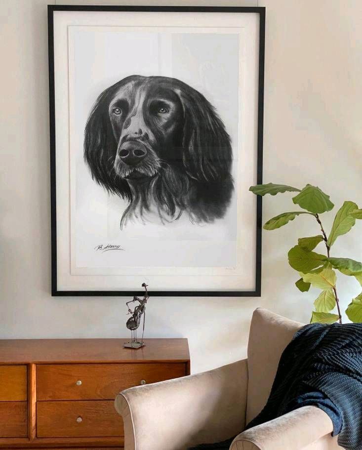 Tiere zeichnen vom Foto | Geschenkidee | Künstler | Maler | Hund in Neumarkt i.d.OPf.
