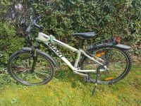 Giant Rincon 26 Zoll Jugendfahrrad Fahrrad 24 Gang Shimano Acera Hessen - Bad Homburg Vorschau