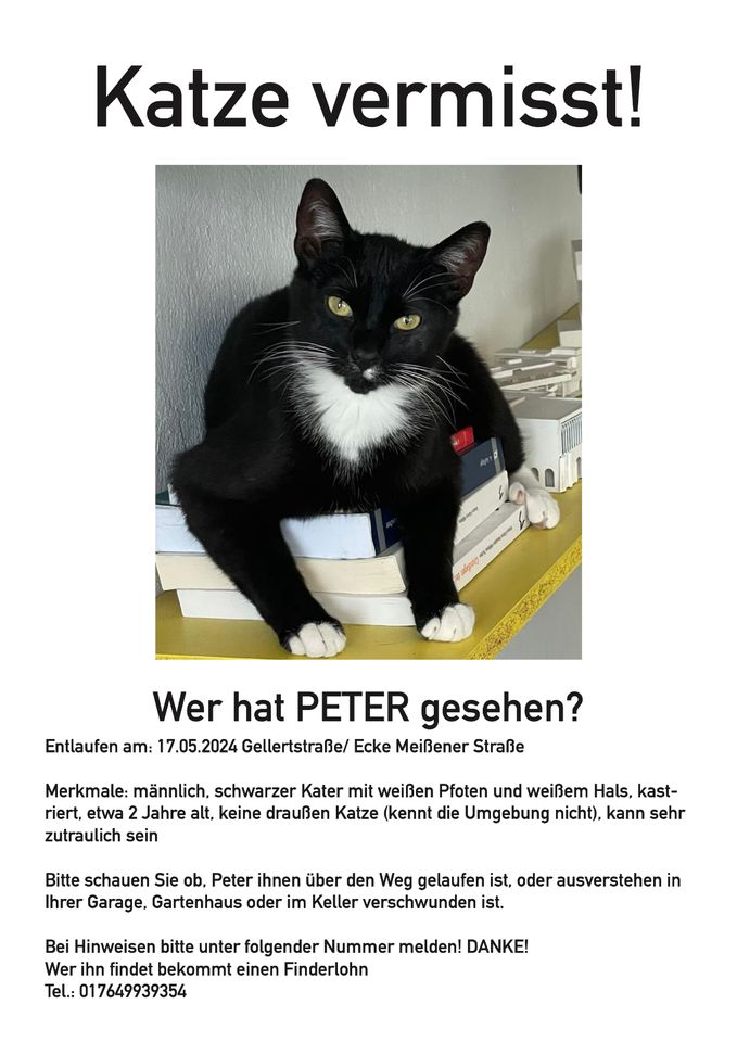 Katze vermisst! in Radebeul