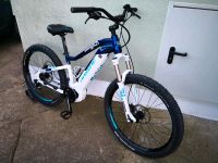 MTB-E-Bike Haibike SDURO HardSeven Life 5.0 Hardtail Sachsen - Riesa Vorschau