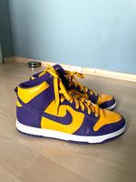Nike Dunks Gr.44,5 Niedersachsen - Haselünne Vorschau