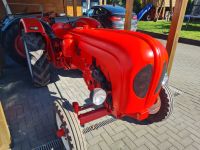 Porsche standard star 219 Traktor Nordrhein-Westfalen - Menden Vorschau