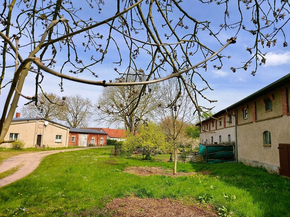 Bauernhaushälfte mit großer Stallung in dörflicher Lage bei Altentreptow in Brunn bei Neubrandenburg