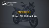 Carbon Teile Ducati Multistrada V4 Rheinland-Pfalz - Rheinzabern Vorschau