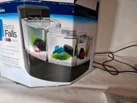 Wasserfall Aquarium Betta Falls, 3 Einzelbecken Dresden - Loschwitz Vorschau