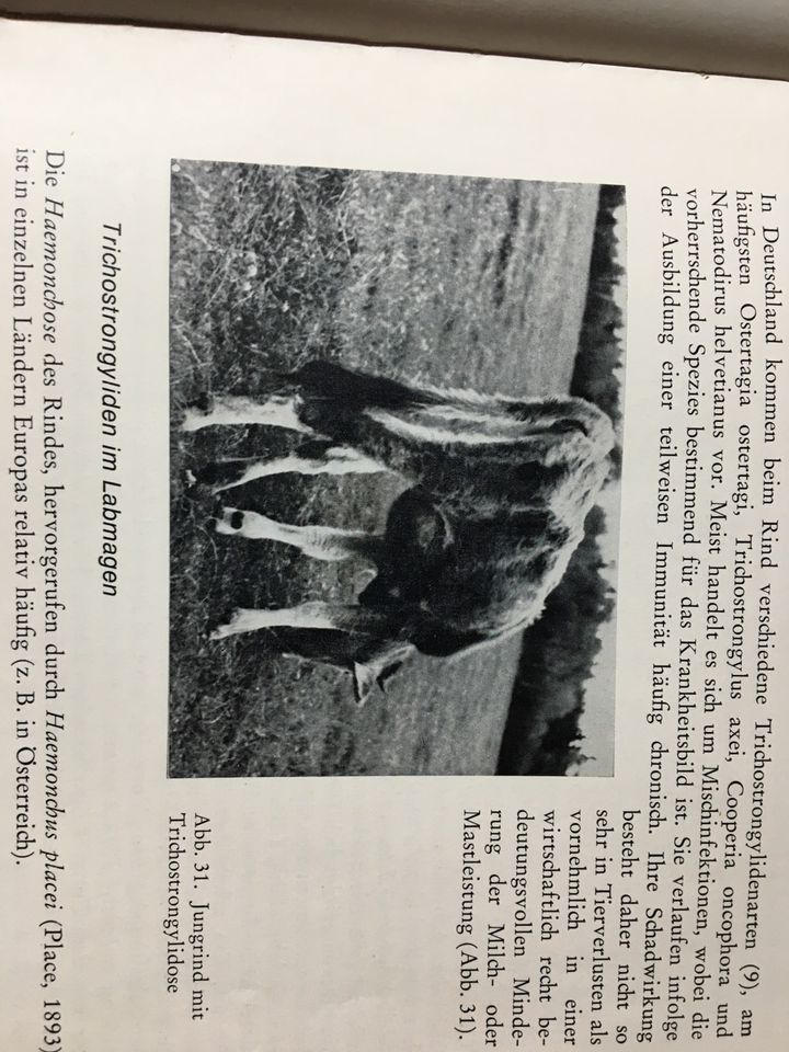 parasitologie veterinär buch in Stutensee