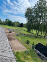 Offenstall - Einsteller - Pension - Weideplatz für Pferde Niedersachsen - Barenburg Vorschau