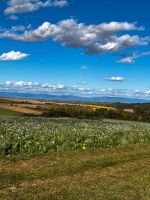 Ackerfläche, Wiese, Wald, Grundstück nähe Mamming Bayern - Dingolfing Vorschau