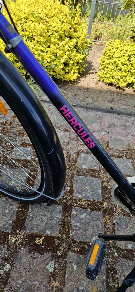 City Bike 28" von Hercules - 5 Gang Schaltung - guter Zustand in Nienburg (Weser)