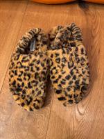 Steve  Madden Damen Schuhe Hessen - Darmstadt Vorschau