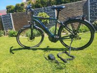 E-Bike, Checkheft gepflegt, Fahrrad, Herren Hessen - Biblis Vorschau