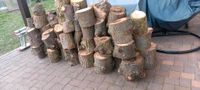Holz, zu verkaufen. Saarland - Neunkirchen Vorschau