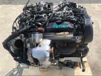 Motor DET Mit Anbauteile 2.0Tdi Audi a4 12Monate Gewahrleistung Niedersachsen - Braunschweig Vorschau