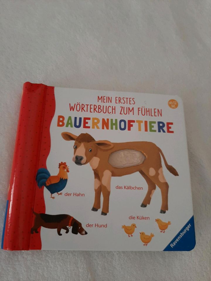 Tier Fühlbuch in Blankenhain