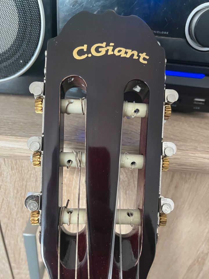 C.Giant Gitarre in Eiterfeld