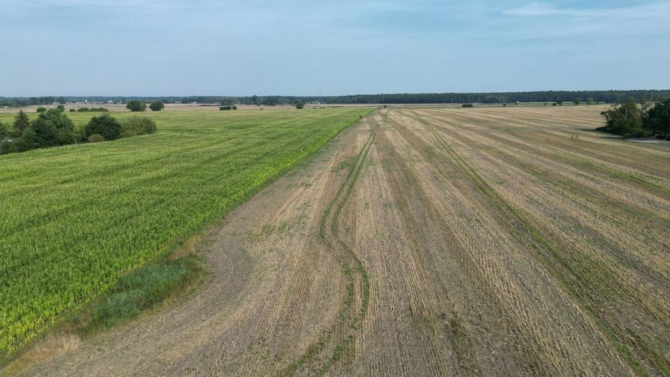 Zuhause in Vehlefanz - 10 Baugrundstücke im Grünen zu verkaufen! Direkt vom Eigentümer! in Oberkrämer