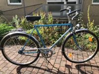 Rabeneick spezial Herrenfahrrad Vintage 28 Zoll Niedersachsen - Wennigsen Vorschau