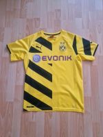 BVB Trikot 14/15 Heim Puma Größe M Borussia Dortmund Dresden - Blasewitz Vorschau