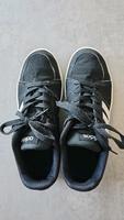 Adidas Sportschuh Sneaker Gr. 37 top Niedersachsen - Stadtoldendorf Vorschau