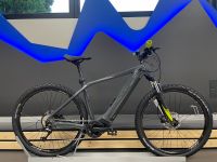 NEURAD*Bulls- LT CX EVO -Gr M & XL / 48 & 60 cm - regulär 3499€ Nordrhein-Westfalen - Büren Vorschau