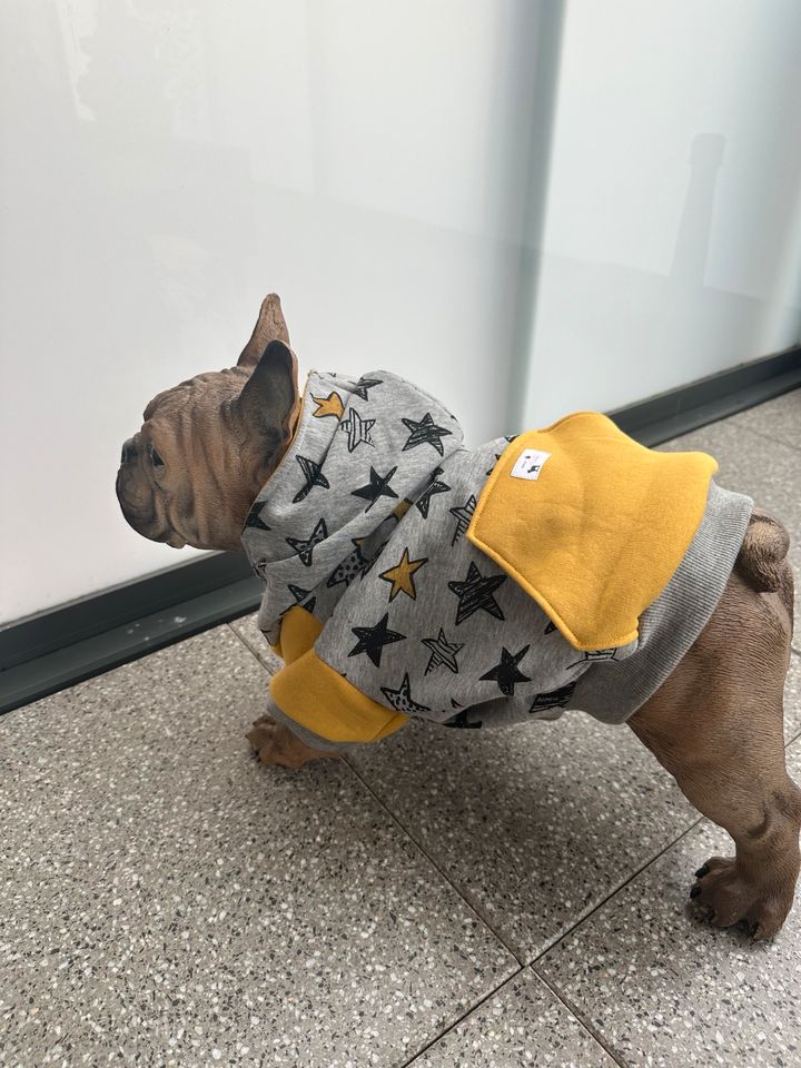 Kapuzen Hoodie für Französische Bulldoggen in Dortmund