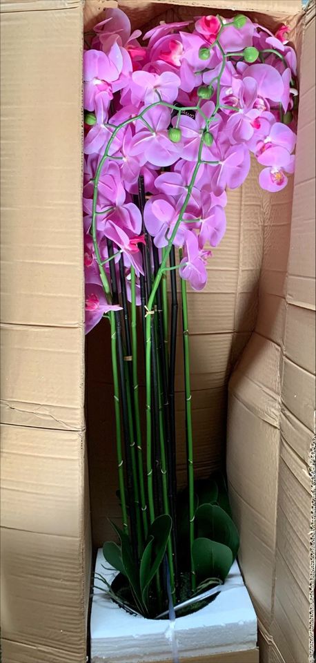 edle Orchidee 109 cm XXL rosa Kunst-Blume Deko Kunstpflanze in  Baden-Württemberg - Mannheim | eBay Kleinanzeigen ist jetzt Kleinanzeigen