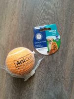 Tennisball für Hunde Sachsen - Rothenburg Vorschau