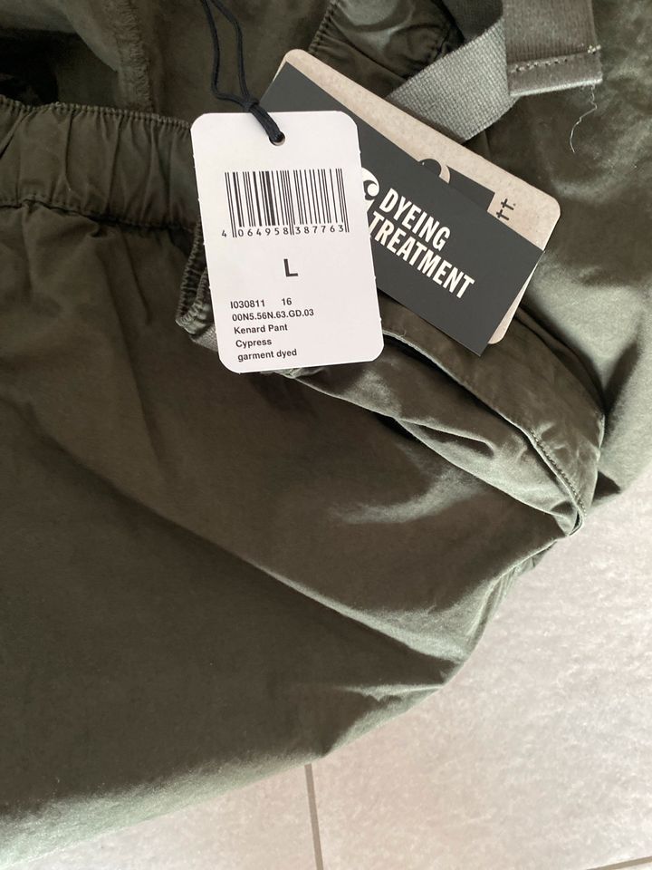 Carhartt WIP Kenard Pant in Siegen