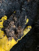 „Bio“ Kompost Erde fürs Hochbeet oder den Garten Hessen - Messel Vorschau