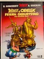 Asterix und Obelix feiern Geburstag Schleswig-Holstein - Emkendorf Vorschau