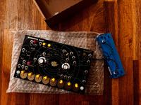 eowave Quadrantid Swarm Module - Eurorack Friedrichshain-Kreuzberg - Friedrichshain Vorschau