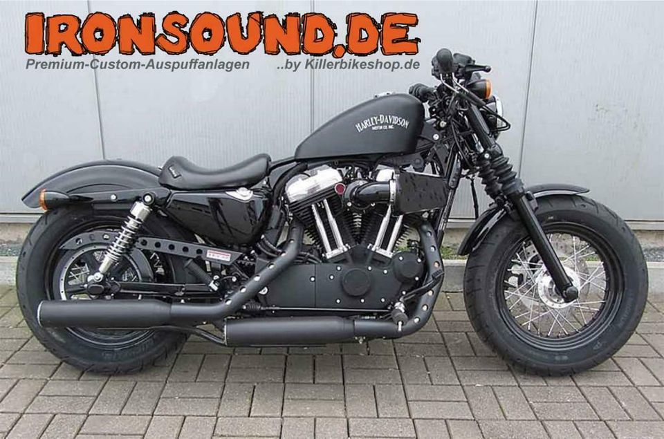 SALE: Falcon Double Groove Auspuff /schwarz / Harley XL 1200 in Süsel