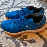 Turnschuhe Halle Hallenturnschuhe Puma Größe 42,5 Nordrhein-Westfalen - Oberhausen Vorschau