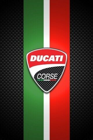 Ducati 999S Monoposto / 749R / 999R Suche!!! in Schellerten