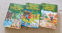 Kinderbücher  " Das magische Baumhaus " Niedersachsen - Braunschweig Vorschau
