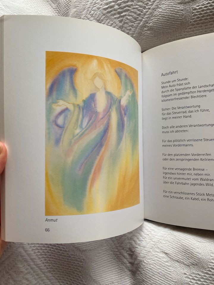Buch Mit lächelnder Schwinge (Schwanger) Bilder Ursina Würmli in Plön 