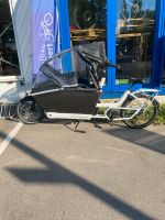 Urban Arrow Family Cargo Line E-Bike Stuttgart - Bad Cannstatt Vorschau