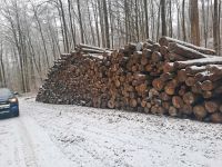 24 Rm Brennholz Stammholz Buche inkl. Lieferung 60 km Thüringen - Wasungen Vorschau