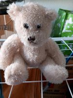 Teddy zu verkaufen Baden-Württemberg - Burgstetten Vorschau