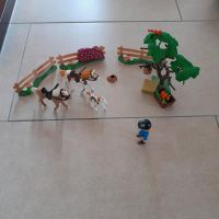 Playmobil Country Pferdekoppel 5227 Niedersachsen - Lastrup Vorschau