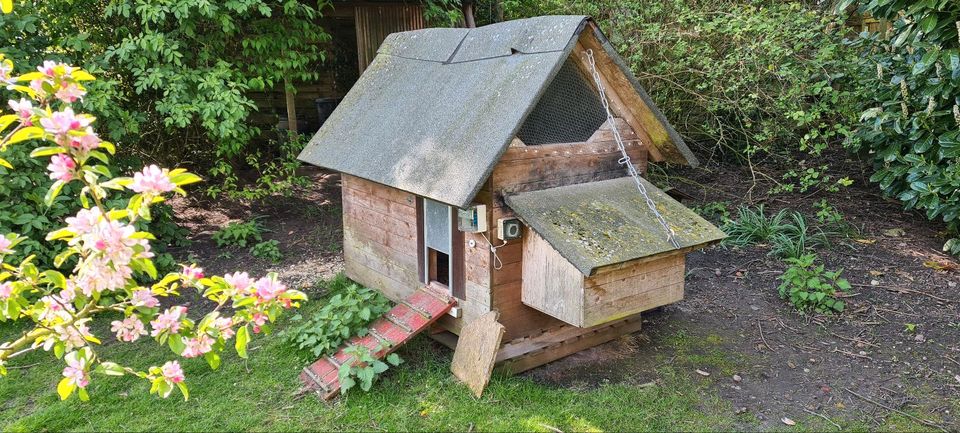 Hühnerhaus mit Schließautomatik in Preetz