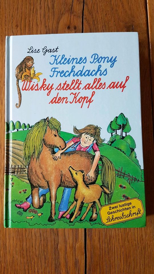 Buch Kleines Pony Frechdachs in Schreibschrift von Lise Gast in Rieste