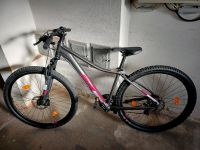 Mountainbike Nordrhein-Westfalen - Detmold Vorschau